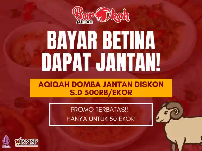 Promo Aqiqah Domba Jantan - Barokah Aqiqah