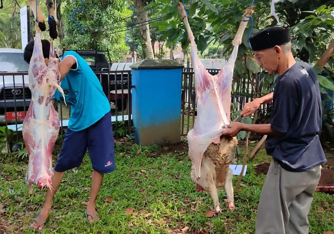 Melaksanakan Aqiqah untuk Orang Tua yang Sudah Meninggal, Bagaimana Hukumnya?