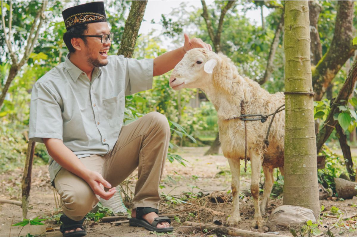 Trik Jitu Menyiapkan Dana Kurban Kambing